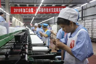 對(duì)手更是朋友 兩家化纖企業(yè)重啟同臺(tái)技術(shù)比武，以交流促發(fā)展