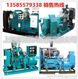 武漢康鉞機電 專業提供yc2018d 15kw玉柴柴油發電機組直銷與租賃服務